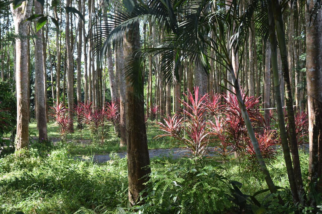 Manora Garden Hotel Phang Nga Bagian luar foto